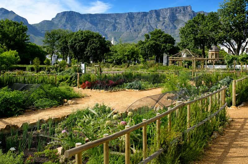 Company Gardens
