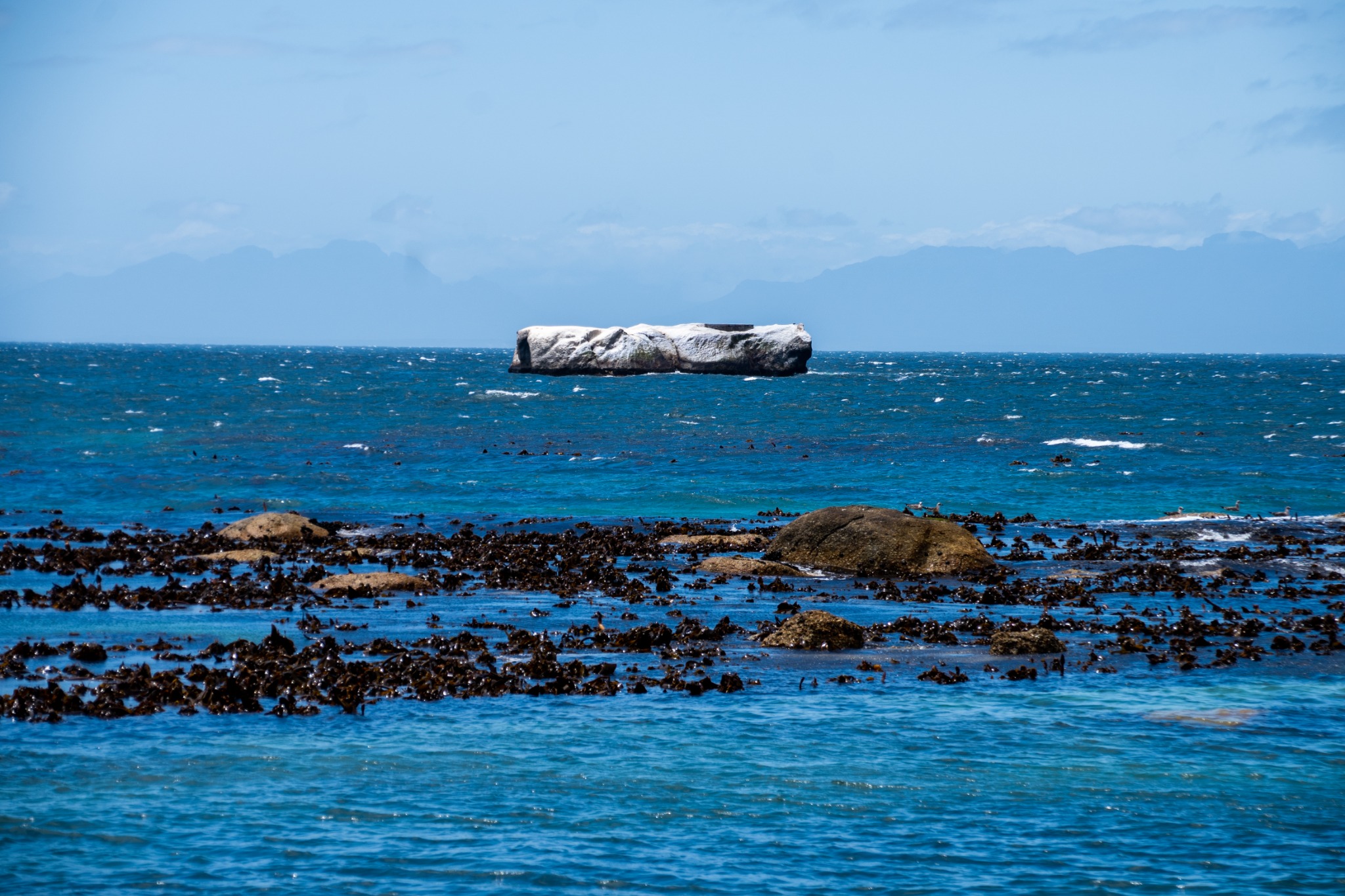 Simon’s Town Stories & Penguins